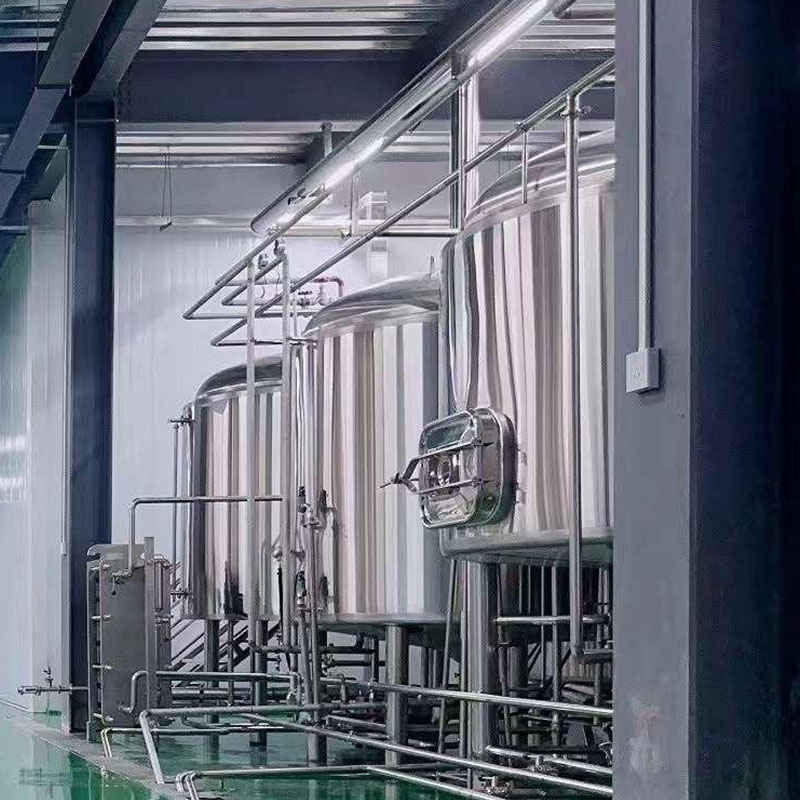 田阳精酿啤酒设备